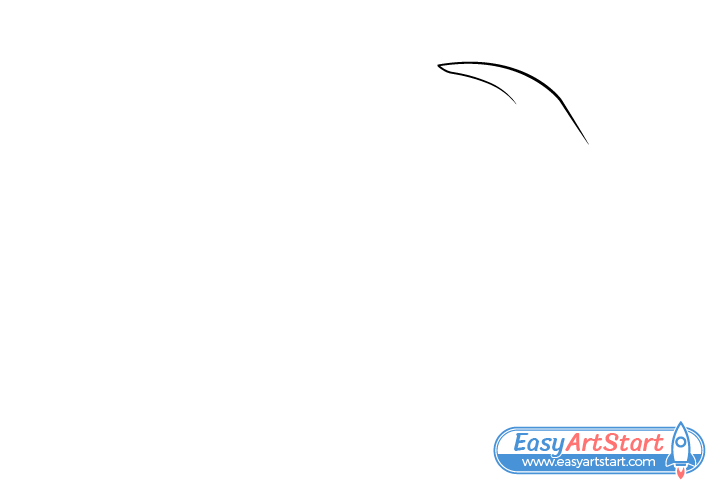 hammer claw drawing hammer claw drawing