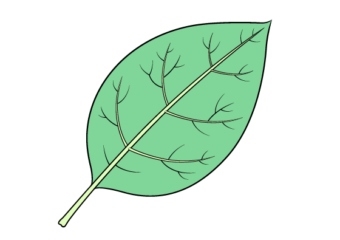 leaf drawing tutorial