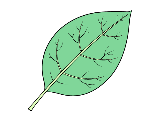 leaf drawing tutorial