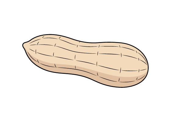 peanut drawing tutorial