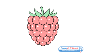 How to Draw a Raspberry in 8 Steps - EasyArtStart