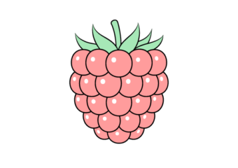 raspberry drawing tutorial