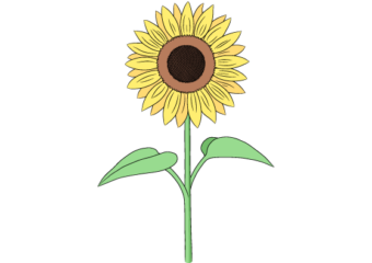 sunflower drawing tutorial
