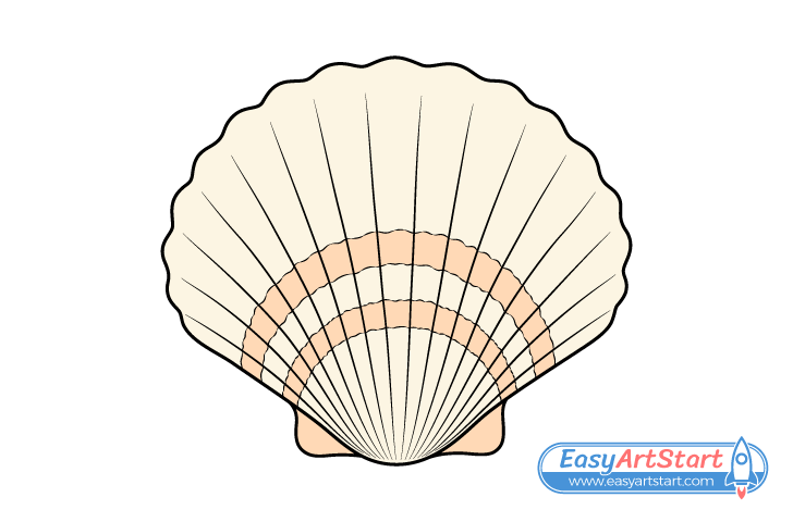 seashell drawing seashell drawing