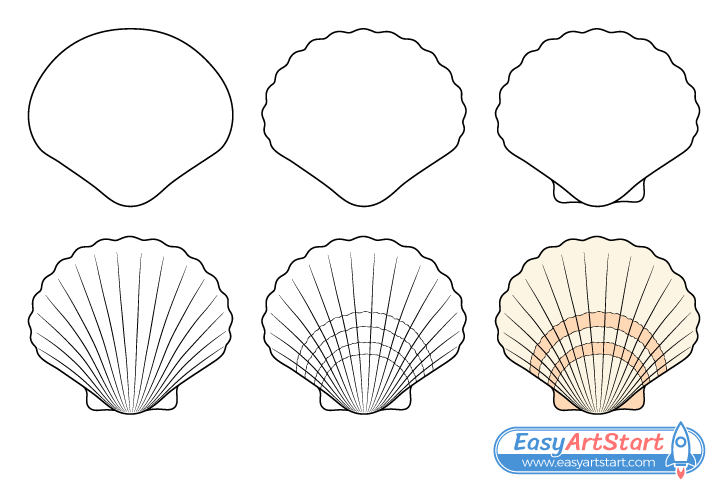 How To Draw A Seashell In 6 Steps Scallop Shell EasyArtStart