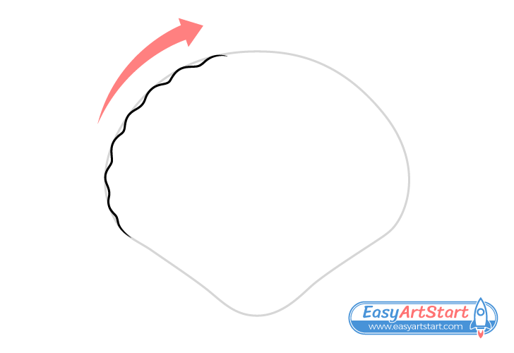seashell scalloped edge drawing seashell scalloped edge drawing