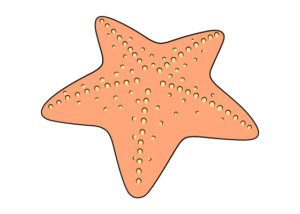 starfish drawing tutorial